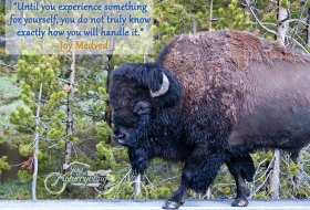 Yellowstone NP, WY, USA - Photo by Mary Hammel via Unsplash
