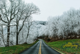 Blue Ridge Pkwy, Asheville, NC, USA - Photo by Wade Austin Ellis via Unsplash