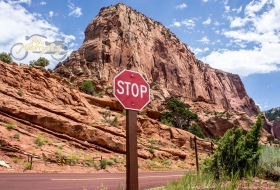 Zion NP, UT, USA - Photo by Unsplash
