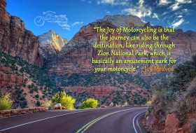 Zion National Park, UT, USA - Photo by Stephen Wheeler via Unsplash